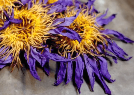 Blue Lotus Smoke or Brew